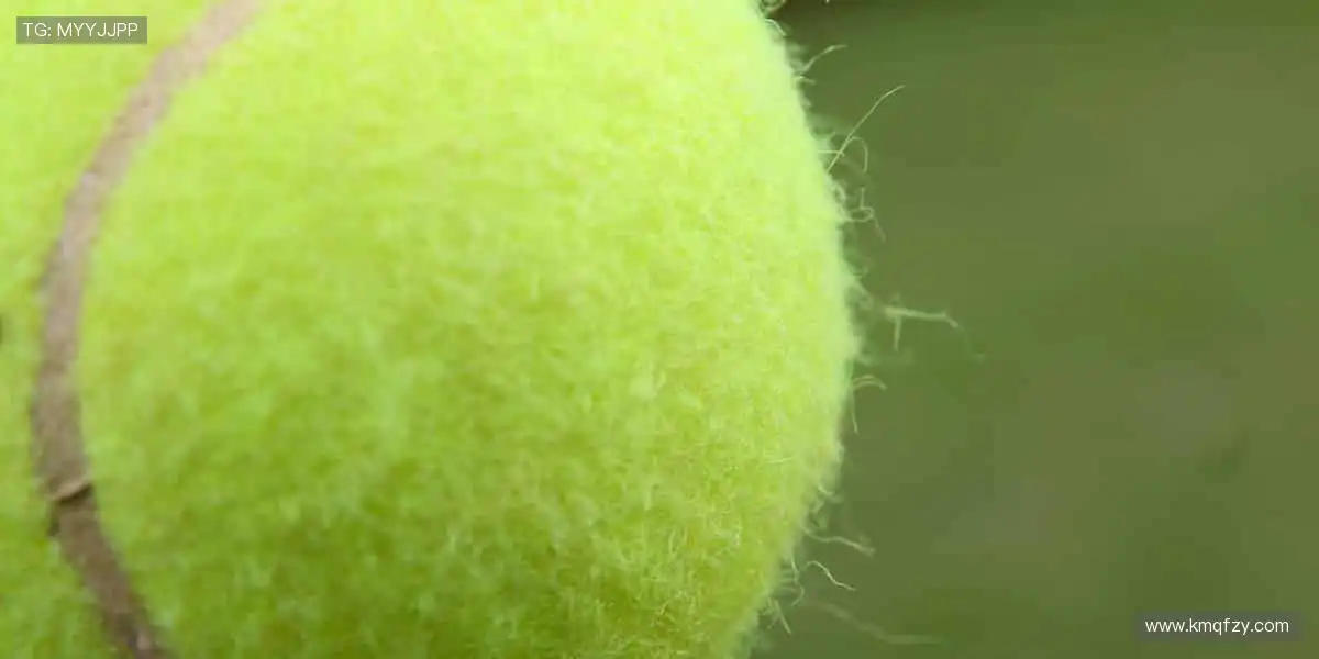 💻互动弹幕，让热爱不再孤单！